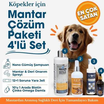 Köpek Mantar ve Deri Onarım 4’lü Çözüm Paketi - Kaşıntı Giderici ve Doku Yapılandırıcı Kit