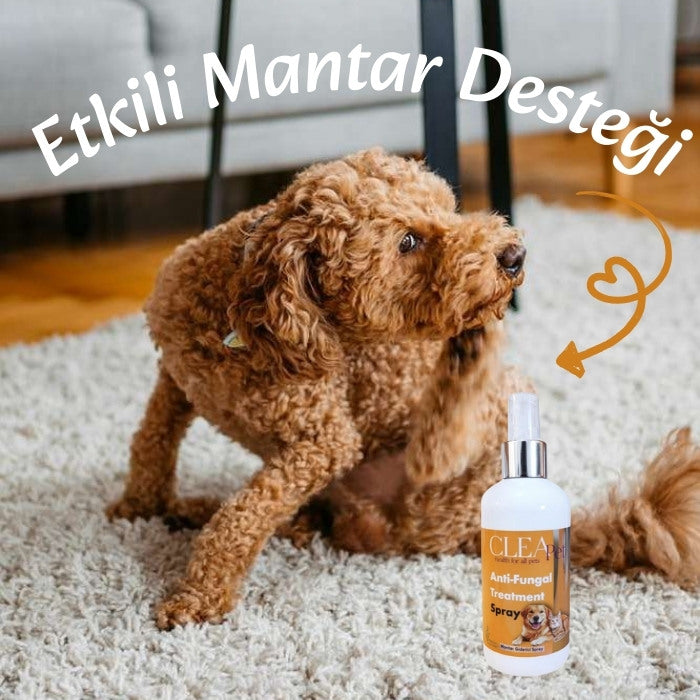 Mantar & Deri Onarım Spreyi 250ml - Probiyotik ve Nano Gümüş - Kedi Köpek