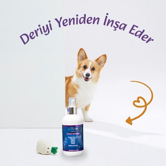 Mantar Yara Egzama Karşıtı-Nano Gümüş Bakım Spreyi 250 ml-Kedi Köpek
