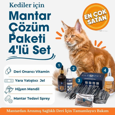 Kedi Mantar Çözüm Paketi 4’lü Set - Kaşıntı Giderici ve Deri Bakım Kiti