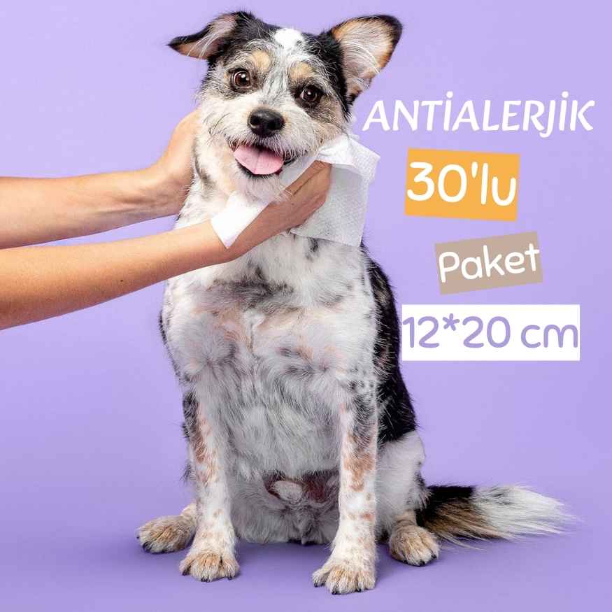 Göz, Kulak, Ağız, Diş, Pati ve Tüm Vücut İçin Nano Steril Hijyen Mendil 30'lu-Kedi-Köpek