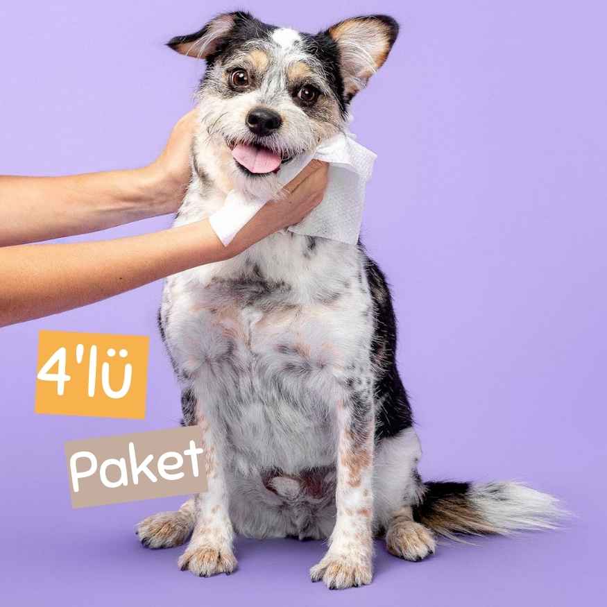 Nano Gümüş İyonlu Antibakteriyel Mega Bakım Havlusu  4'lü- Kedi ve Köpek