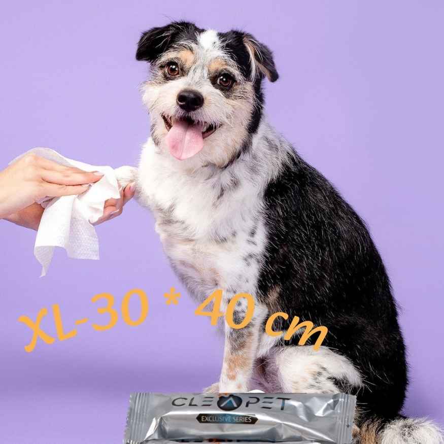 Nano Gümüş İyonlu Antibakteriyel Mega Bakım Havlusu  4'lü- Kedi ve Köpek
