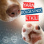 Yara Onarıcı ve Enfeksiyon Önleyici -Pratik Kullanım Stick 10ml - Kedi ve Köpek