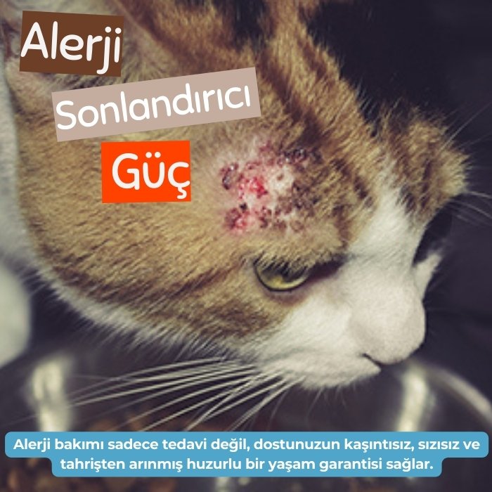 Alerjik Reaksiyon Karşıtı Sprey 250ml -  Kedi Köpek