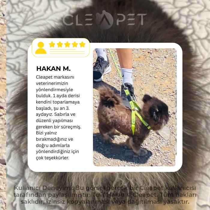 Alopecia X Deri Arındırıcı ve Gözenek Açıcı Tedavi Destek Şampuanı 250ml-Köpek