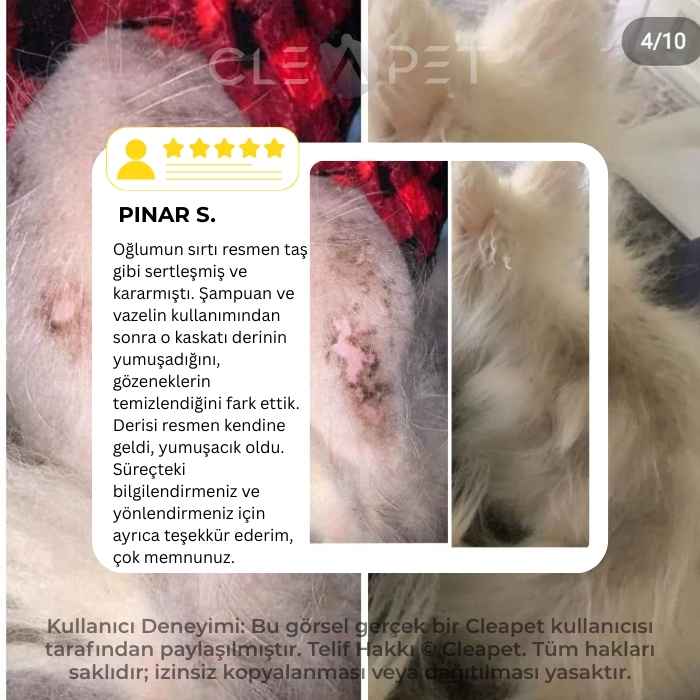 Alopecia X Deri Arındırıcı ve Gözenek Açıcı Tedavi Destek Şampuanı 250ml-Köpek