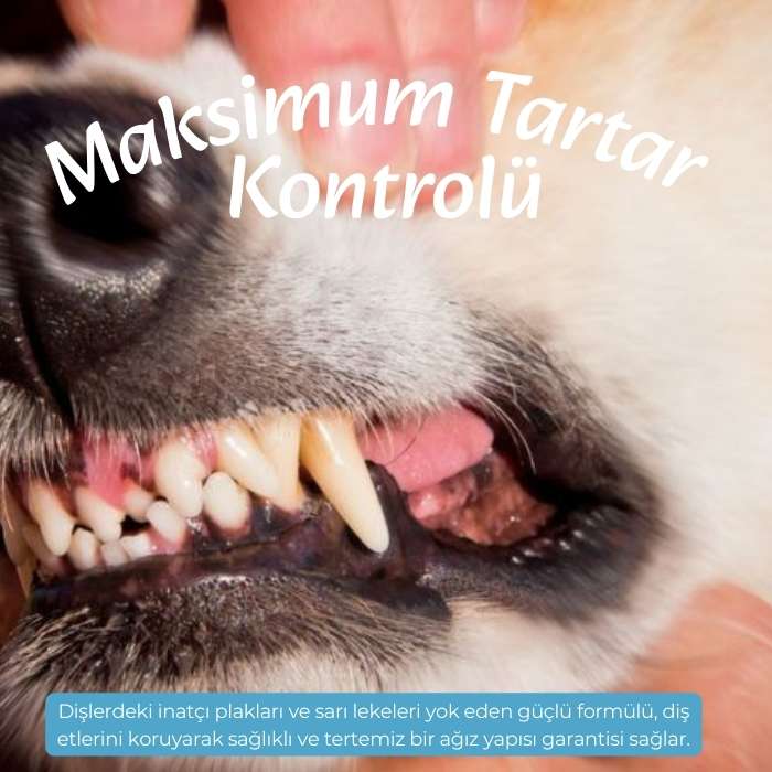 Diş Tartarı, Plaklar ve Ağız Kokusu Karşıtı Nano Gümüş Sprey 100ml-Kedi Köpek