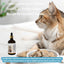 Kedi Multivitamin Destek Damla - Bağışıklık Güçlendirici - 100ml