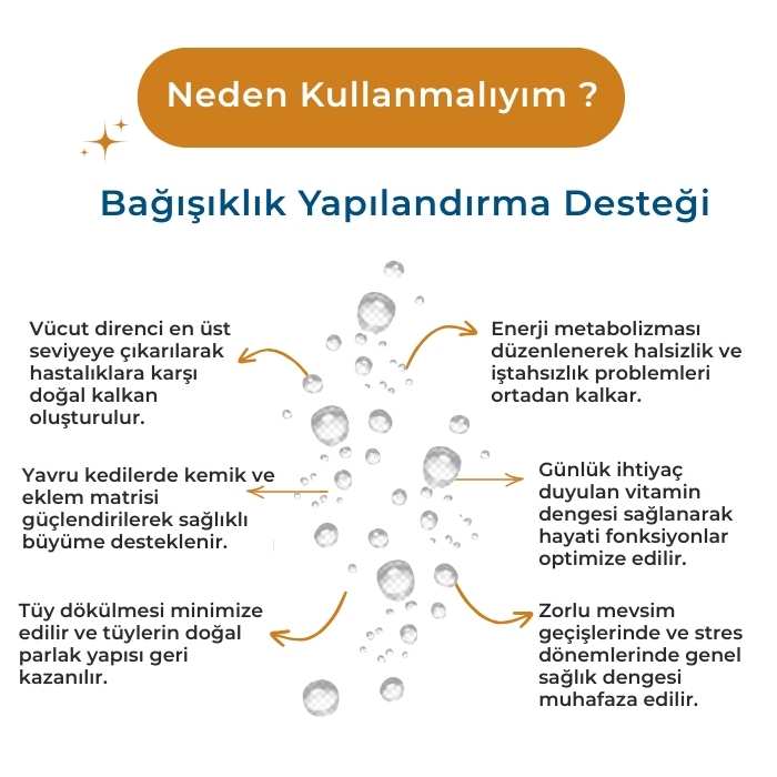 Kedi Multivitamin Destek Damla - Bağışıklık Güçlendirici - 100ml
