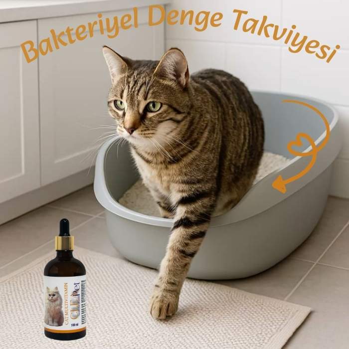 Kedi Multivitamin Destek Damla - Bağışıklık Güçlendirici - 100ml