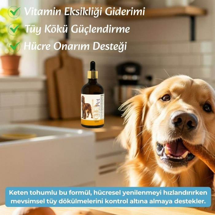 Köpek Multivitamin Destek Damla - Canlandırıcı - Tüy ve Deri Bakım 100ml