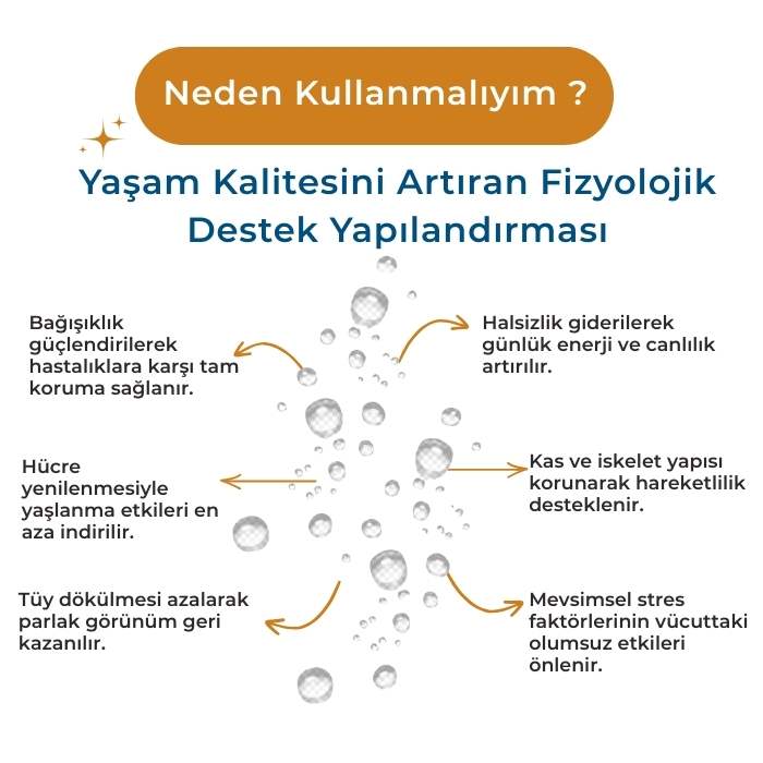 Köpek Multivitamin Destek Damla - Canlandırıcı - Tüy ve Deri Bakım 100ml