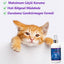 Mantar-Yara-Egzama Karşıtı-Nano Gümüş Bakım Spreyi 150 ml-Kedi Köpek