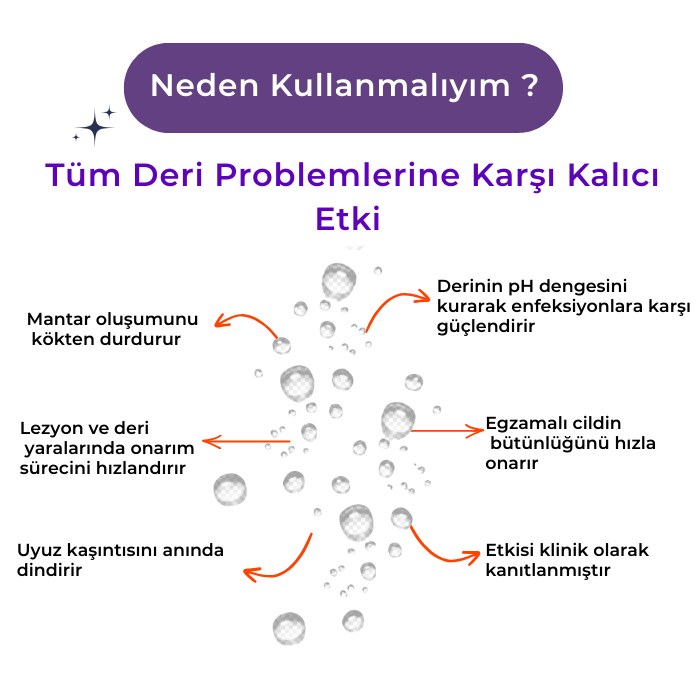 Mantar Yara Egzama Karşıtı-Nano Gümüş Bakım Spreyi 250 ml-Kedi Köpek