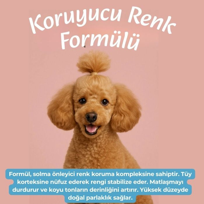 Kahverengi Irk Köpek Şampuanı 250 ml | Poodle Bukle Belirginleştirici & Renk Koruyucu