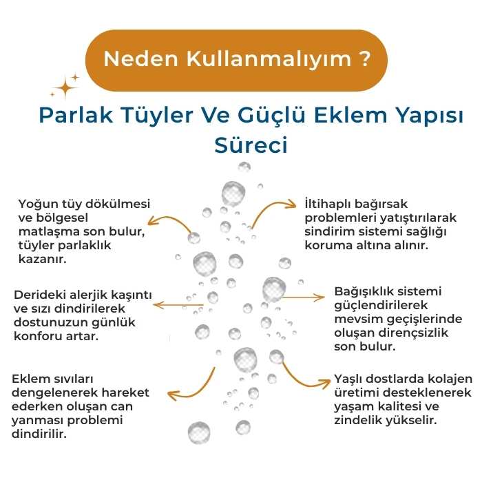 Tüy Dökülmesi Karşıtı - Eklem Desteği - Omega 3-6-9 Damla 100ml