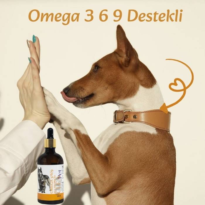 Tüy Dökülmesi Karşıtı - Eklem Desteği - Omega 3-6-9 Damla 100ml