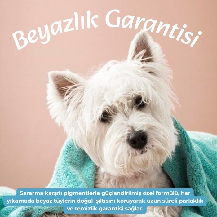Beyaz Irk Köpek Şampuanı 250 ml | Maltese, Bichon, Westie İçin | Sararma Önleyici