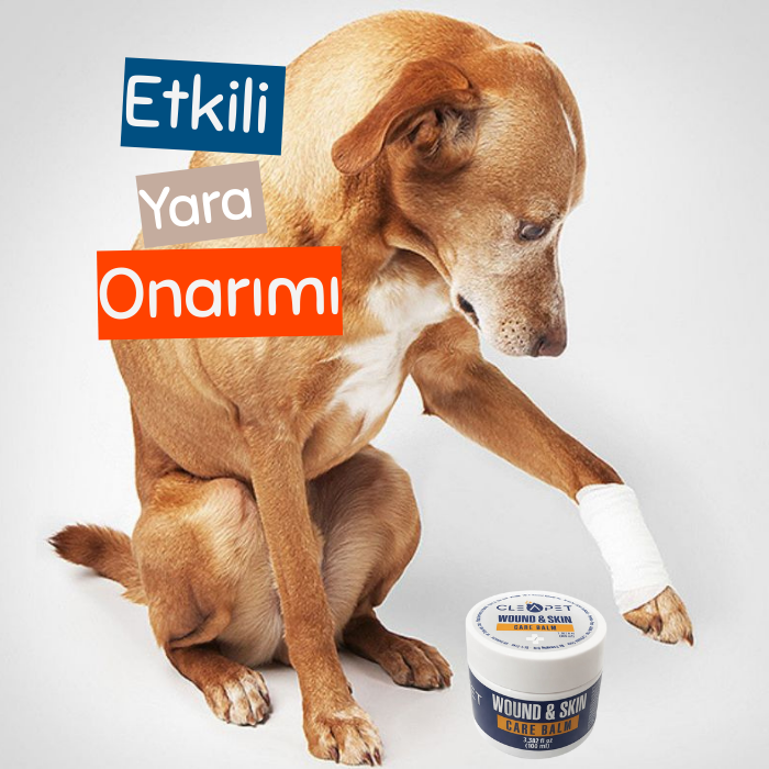 Antibakteriyel Yoğun Tedavi Edici Nano Gümüş Onarım Vazelini - Kedi ve Köpek