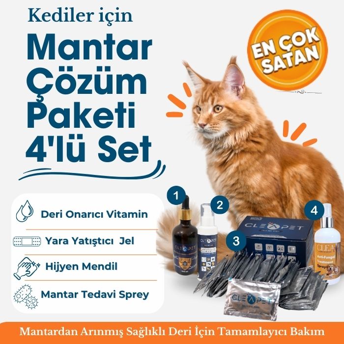 Kedi Mantar Çözüm Paketi 4’lü Set - Kaşıntı Giderici ve Deri Bakım Kiti